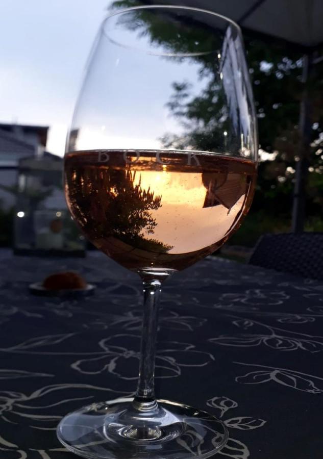 Apartment Oase- Kaiserslautern Zewnętrze zdjęcie