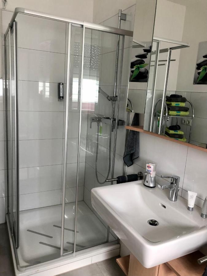 Apartment Oase- Kaiserslautern Zewnętrze zdjęcie